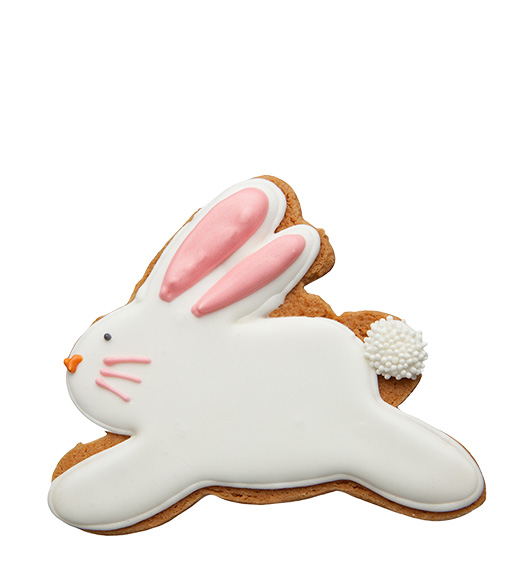 Cookie Hase rennend